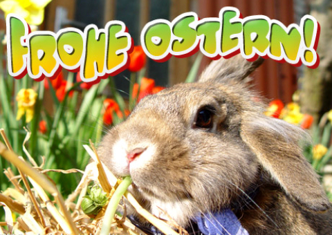 Frohe Ostern